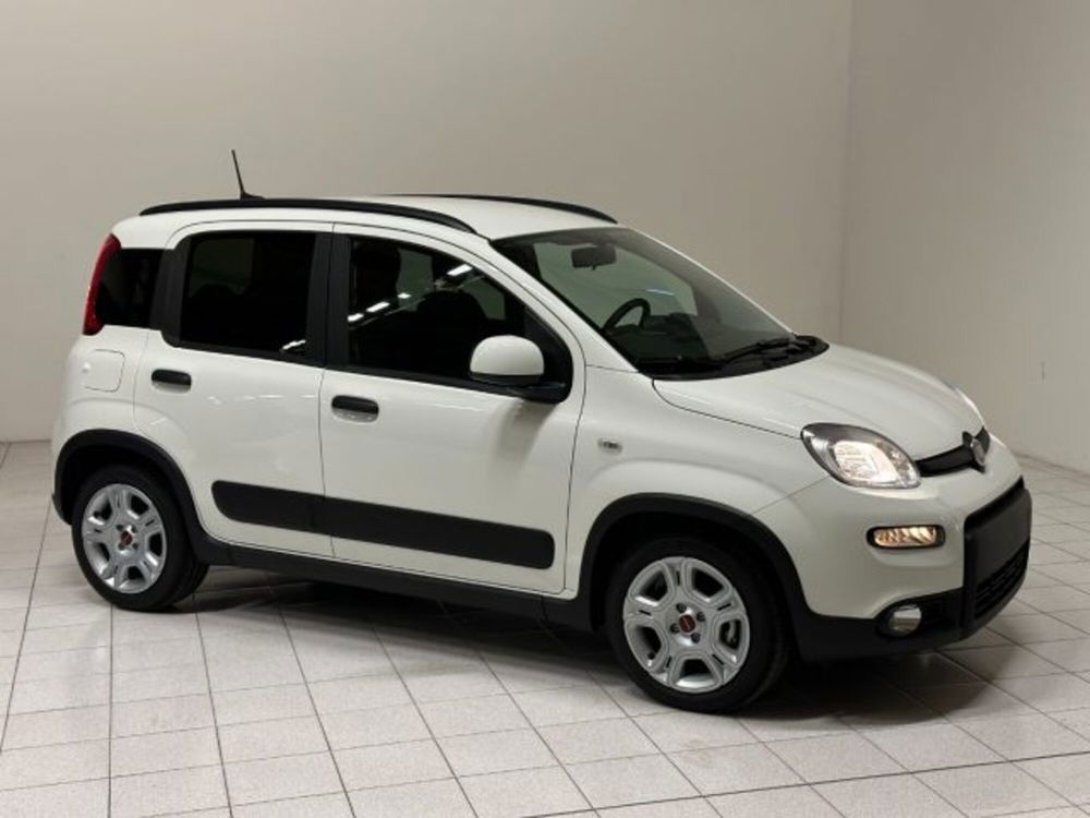 Fiat Panda usata a Novara (16)