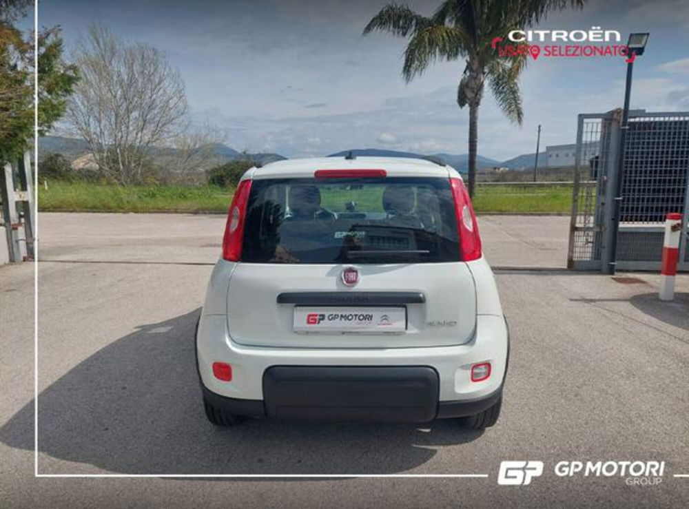 Fiat Panda usata a Caserta (2)