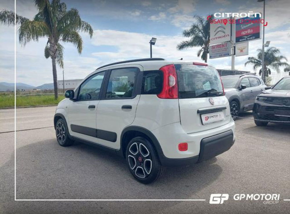 Fiat Panda usata a Caserta (5)