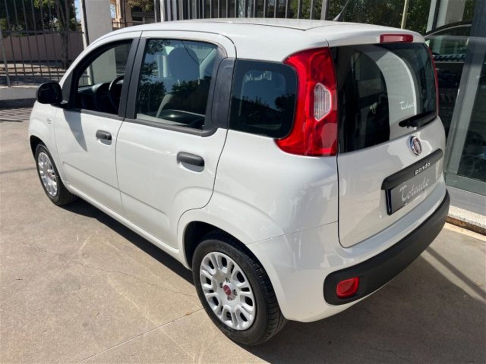 Fiat Panda 1.2 Easy  del 2018 usata a Ghilarza (5)