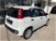Fiat Panda 1.2 Easy  del 2018 usata a Ghilarza (8)
