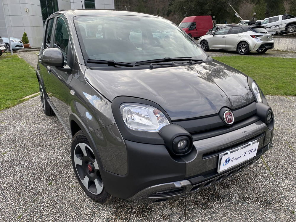 Fiat Panda usata a La Spezia