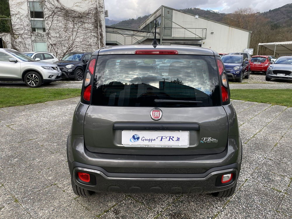 Fiat Panda usata a La Spezia (6)