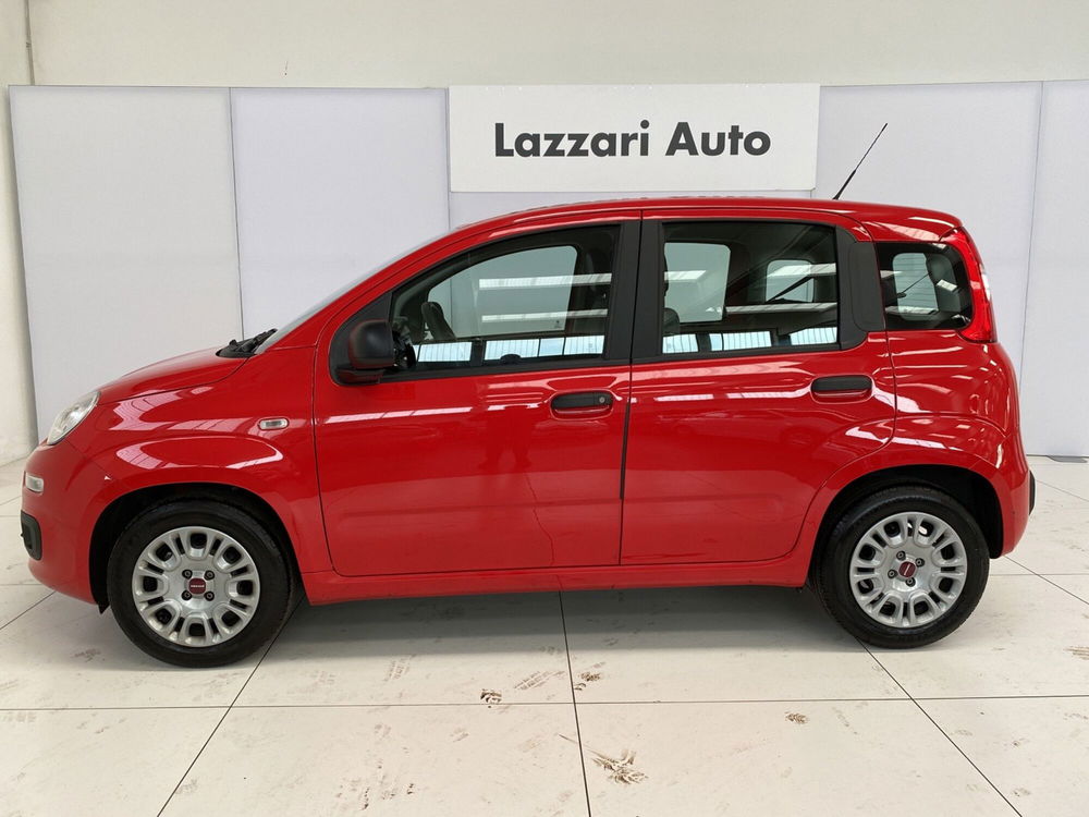 Fiat Panda Cross usata a Lodi (2)