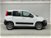 Fiat Panda 1.3 MJT 80 CV S&S 4x4  del 2016 usata a Caspoggio (6)