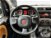 Fiat Panda 0.9 TwinAir Turbo S&S 4x4  del 2016 usata a Caspoggio (14)