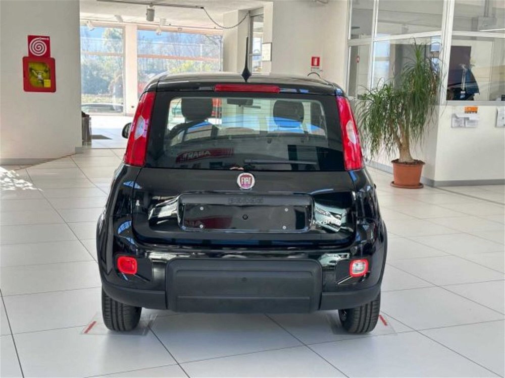 Fiat Panda 1.0 FireFly S&S Hybrid  nuova a Caspoggio (3)