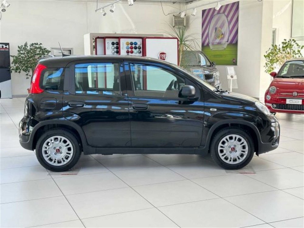 Fiat Panda 1.0 FireFly S&S Hybrid  nuova a Caspoggio (5)