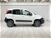 Fiat Panda 1.3 MJT 80 CV S&S 4x4  del 2016 usata a Caspoggio (6)