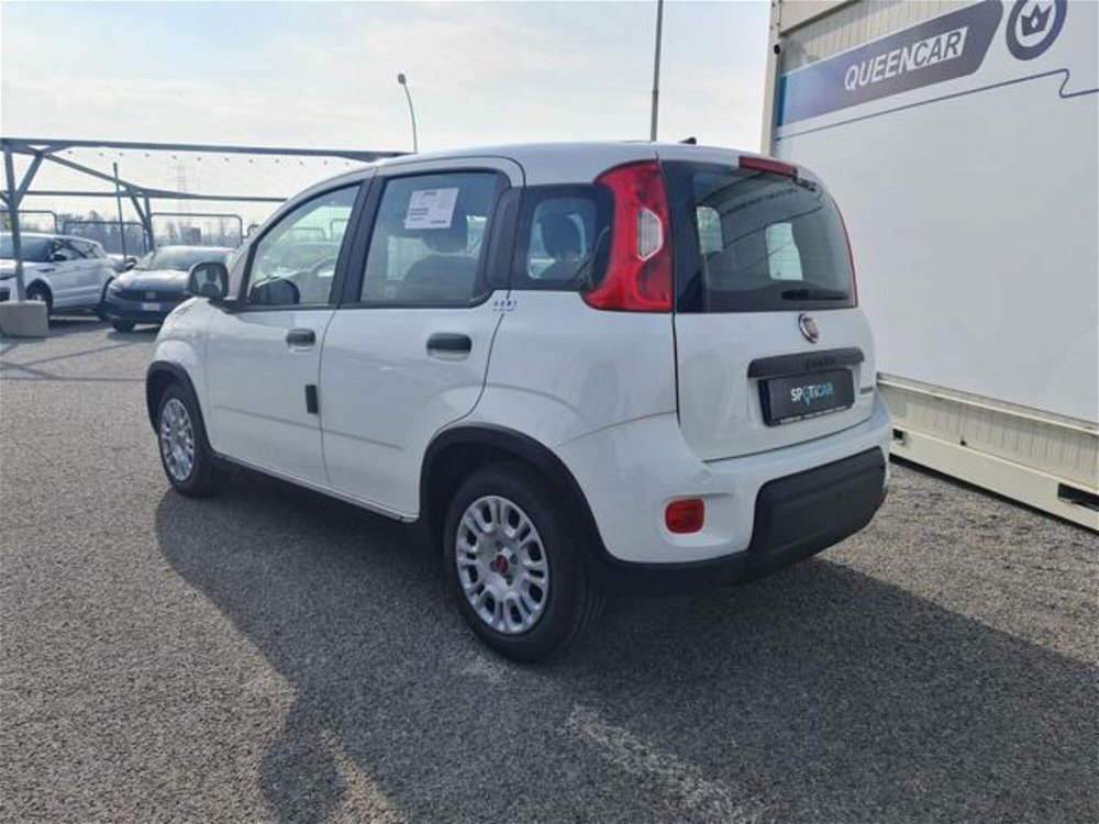Fiat Panda 1.0 FireFly S&S Hybrid  nuova a Pianezza (5)
