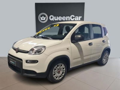 Fiat Panda 1.0 firefly hybrid s&amp;s 70cv 5p.ti nuova a Pianezza