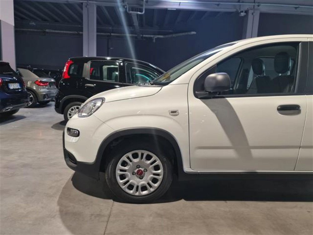 Fiat Panda 1.0 FireFly S&S Hybrid  nuova a Pianezza (4)