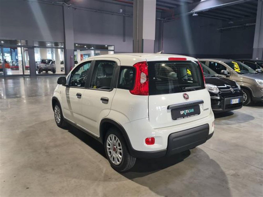 Fiat Panda 1.0 FireFly S&S Hybrid  nuova a Pianezza (5)