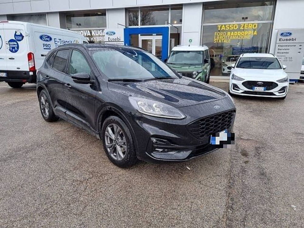 Ford Kuga usata a Pesaro-Urbino