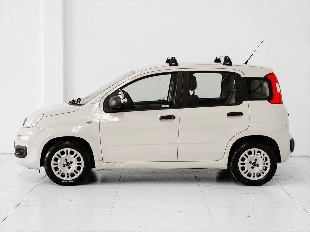 Fiat Panda 1.2 Easy  del 2016 usata a Prato (3)