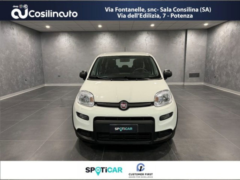 Fiat Panda 1.0 FireFly S&S Hybrid City Cross  del 2022 usata a Sala Consilina (2)