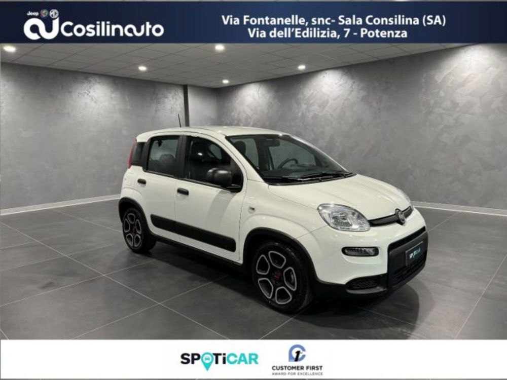 Fiat Panda usata a Salerno (3)