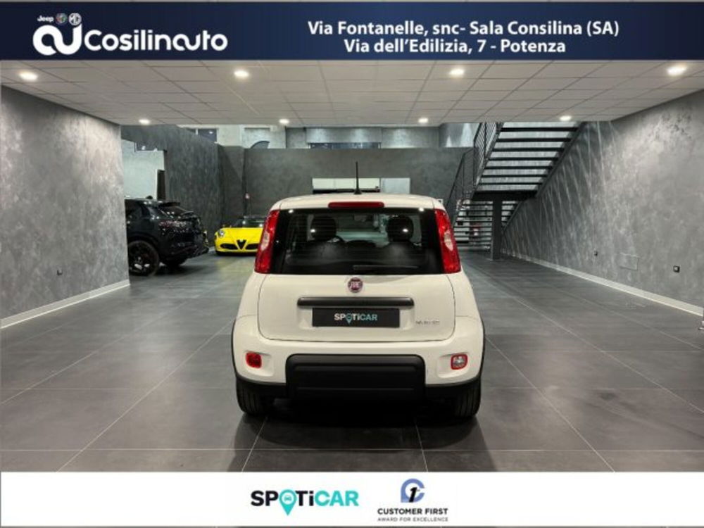 Fiat Panda usata a Salerno (6)