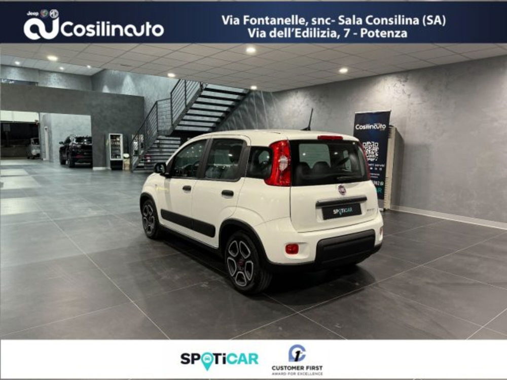 Fiat Panda usata a Salerno (7)