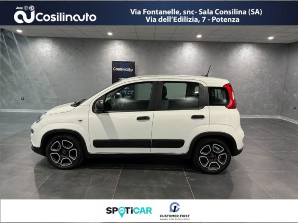 Fiat Panda usata a Salerno (8)