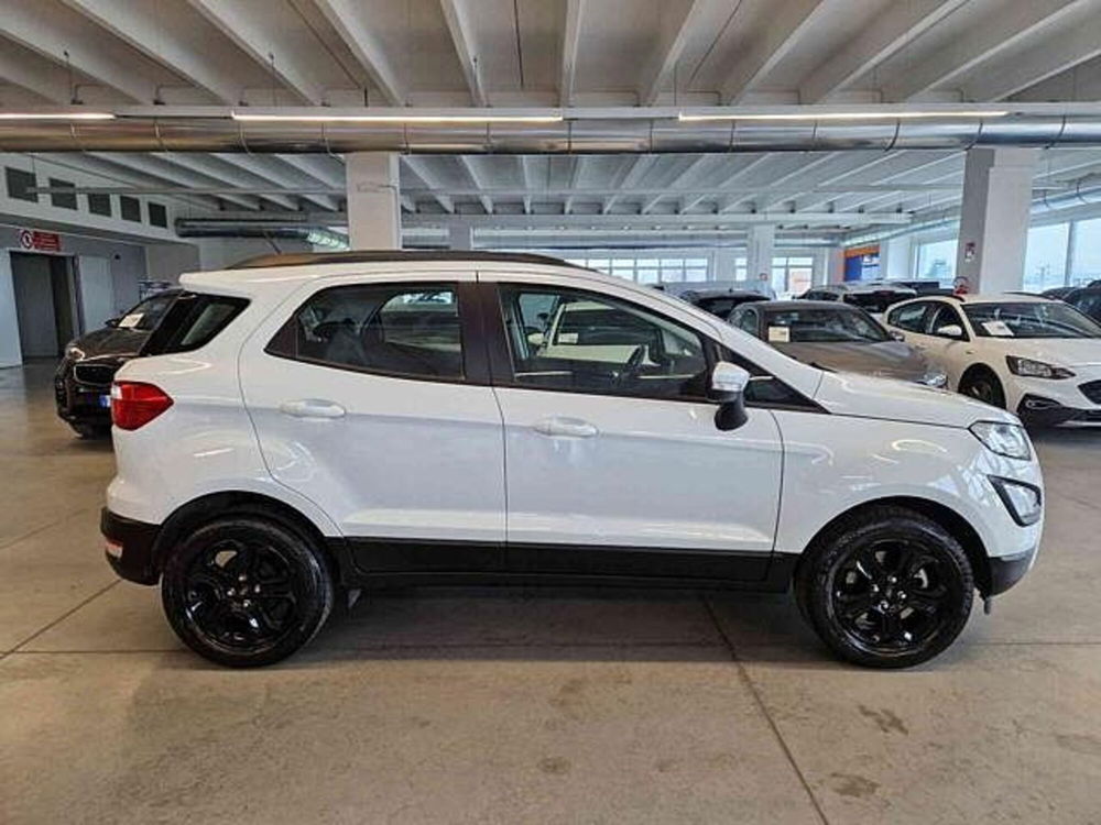 Ford EcoSport usata a Bologna (4)