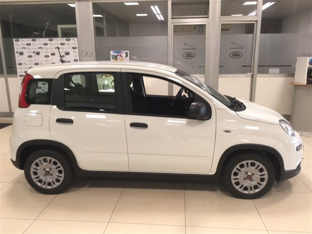 Fiat Panda 1.0 FireFly S&S Hybrid City Cross  nuova a Abbiategrasso (4)