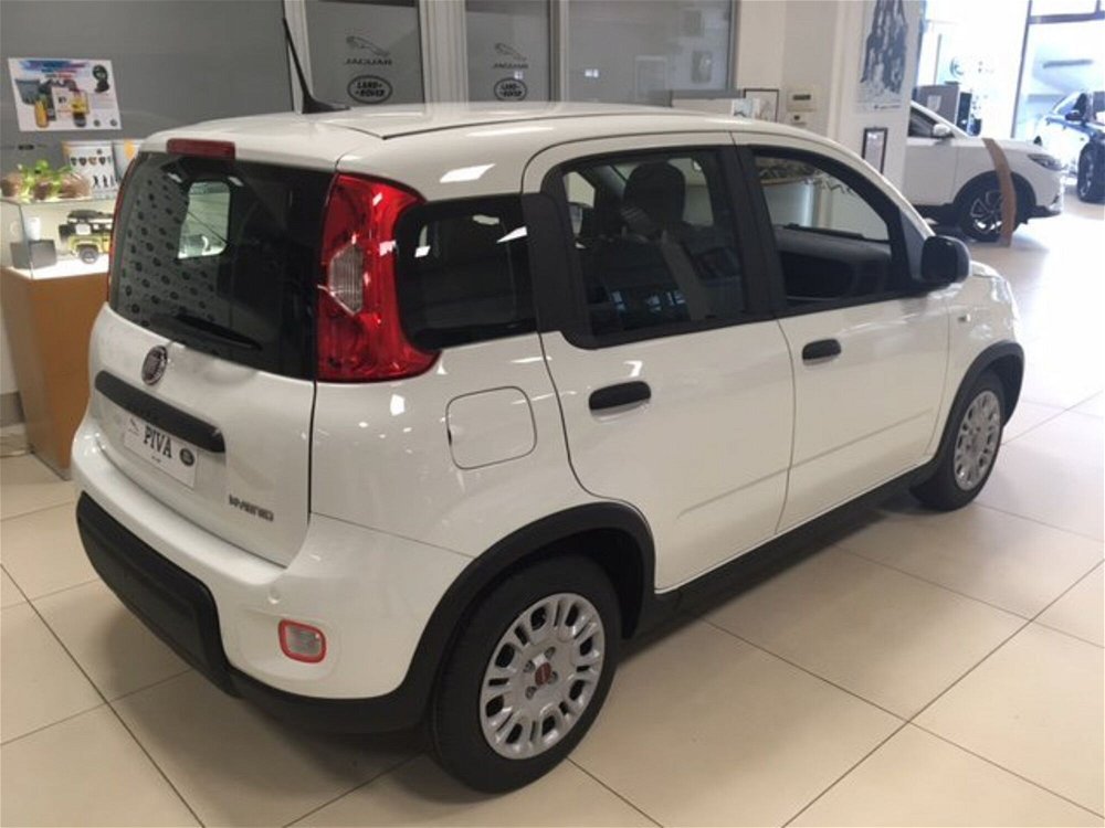 Fiat Panda 1.0 FireFly S&S Hybrid Launch Edition nuova a Abbiategrasso (5)