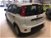 Fiat Panda 1.0 FireFly S&S Hybrid Launch Edition nuova a Abbiategrasso (6)