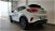Ford Puma 1.0 EcoBoost Hybrid 125 CV S&S Titanium del 2021 usata a Empoli (6)