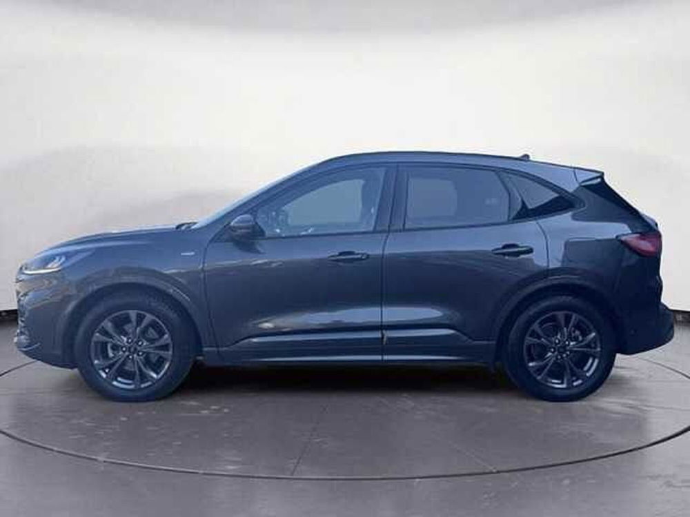 Ford Kuga usata a Bolzano (3)