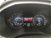 Ford Edge 2.0 EcoBlue 238 CV AWD Start&Stop aut. Titanium del 2020 usata a Ragusa (19)