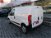 Fiat Fiorino 1.3 MJT 95CV Combi Semi SX  del 2020 usata a Brescia (7)