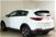 Kia Sportage 1.6 GDI 2WD Energy del 2019 usata a Paruzzaro (7)