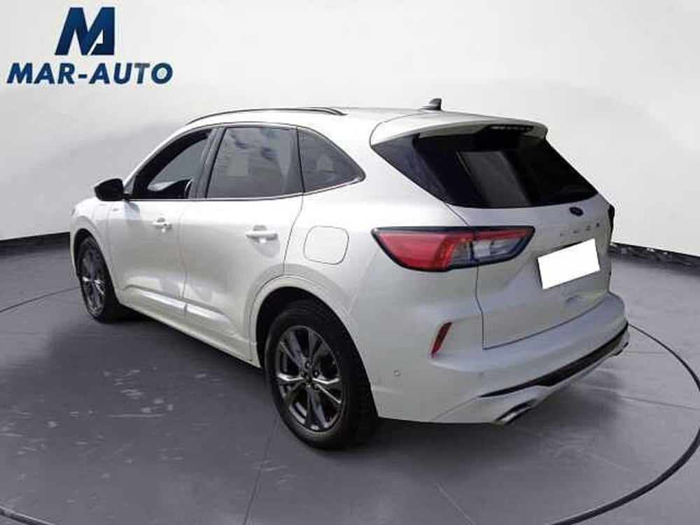 Ford Kuga usata a Treviso (2)