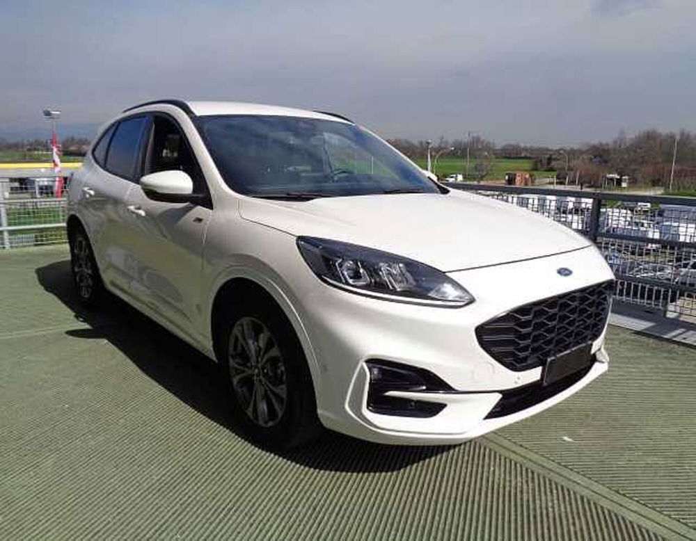 Ford Kuga usata a Treviso (4)