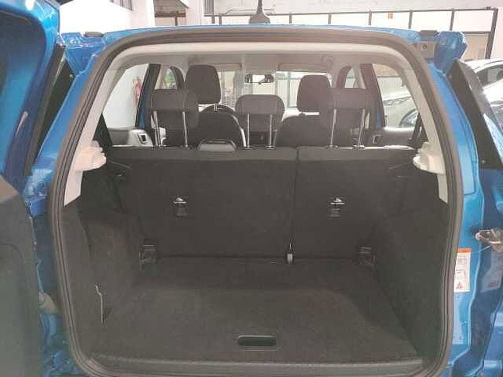 Ford EcoSport usata a Roma (11)