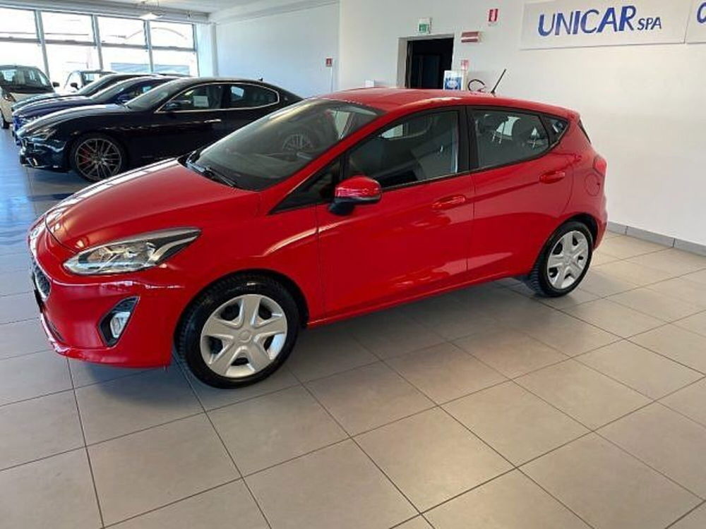 Ford Fiesta usata a Cuneo (4)