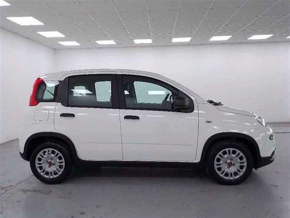 Fiat Panda 1.0 FireFly S&S Hybrid Easy nuova a Cuneo (4)