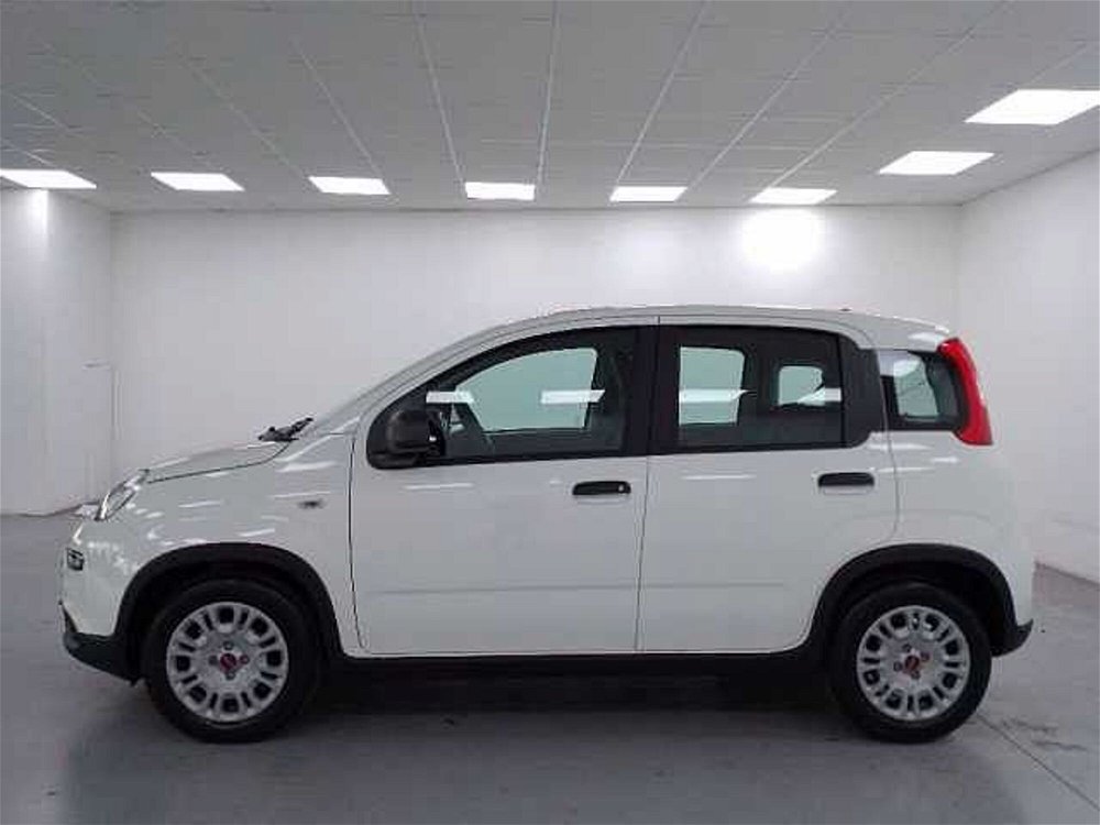 Fiat Panda 1.0 FireFly S&S Hybrid Easy nuova a Cuneo (5)
