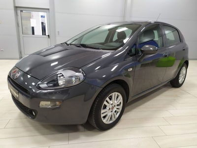 Fiat Punto 1.2 8V 5 porte Lounge  del 2016 usata a Muggia