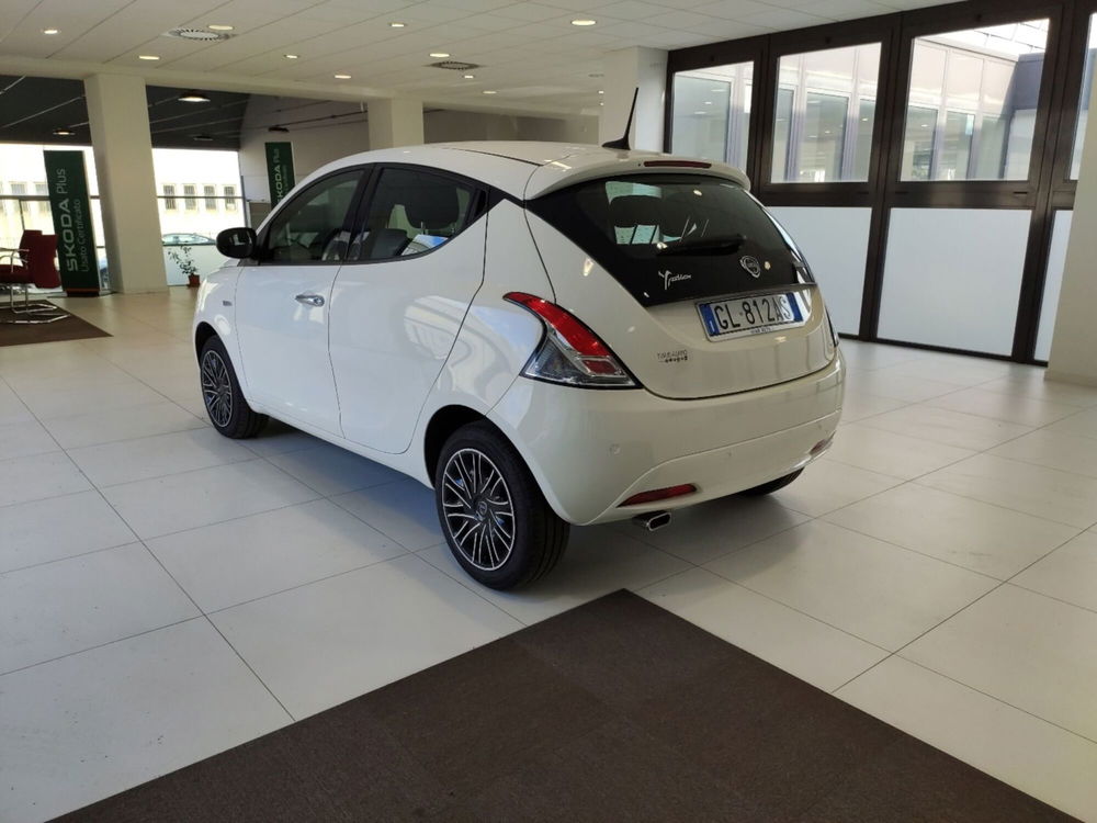 Lancia Ypsilon usata a Arezzo (6)