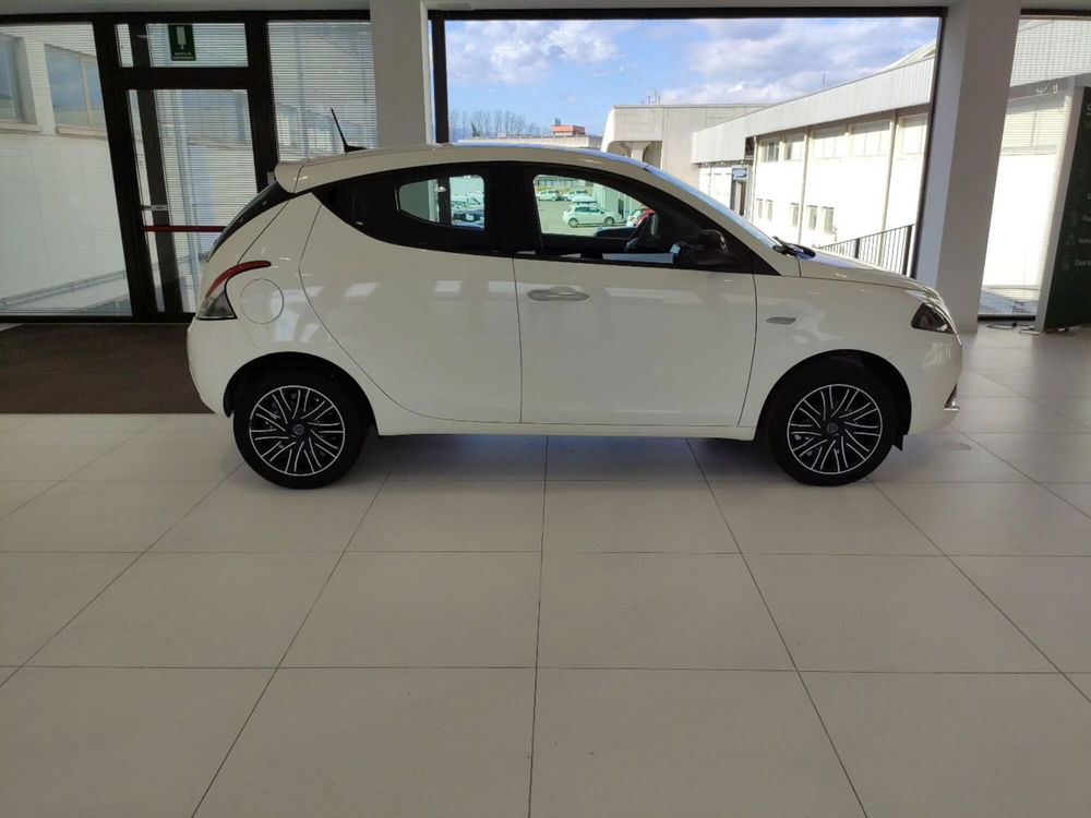 Lancia Ypsilon usata a Arezzo (7)