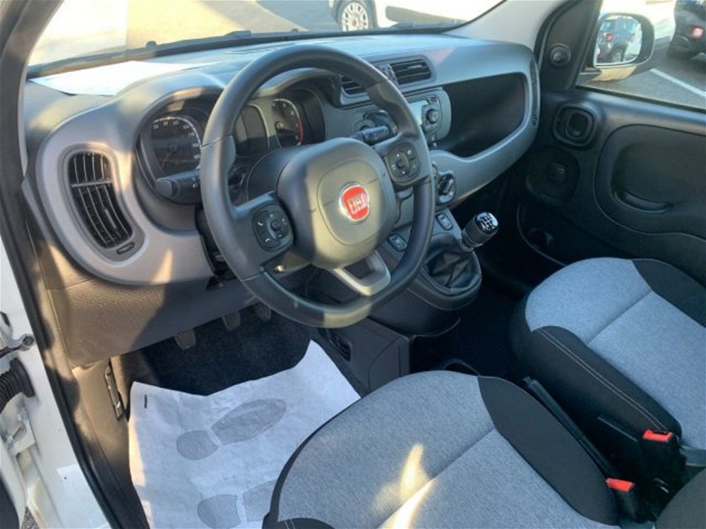 Fiat Panda 1.2 Lounge  del 2019 usata a Torino (5)