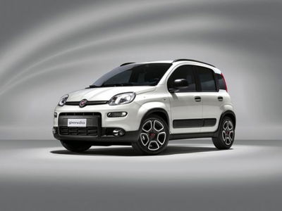 Fiat Panda 1.0 firefly hybrid s&amp;s 70cv del 2022 usata a Corciano