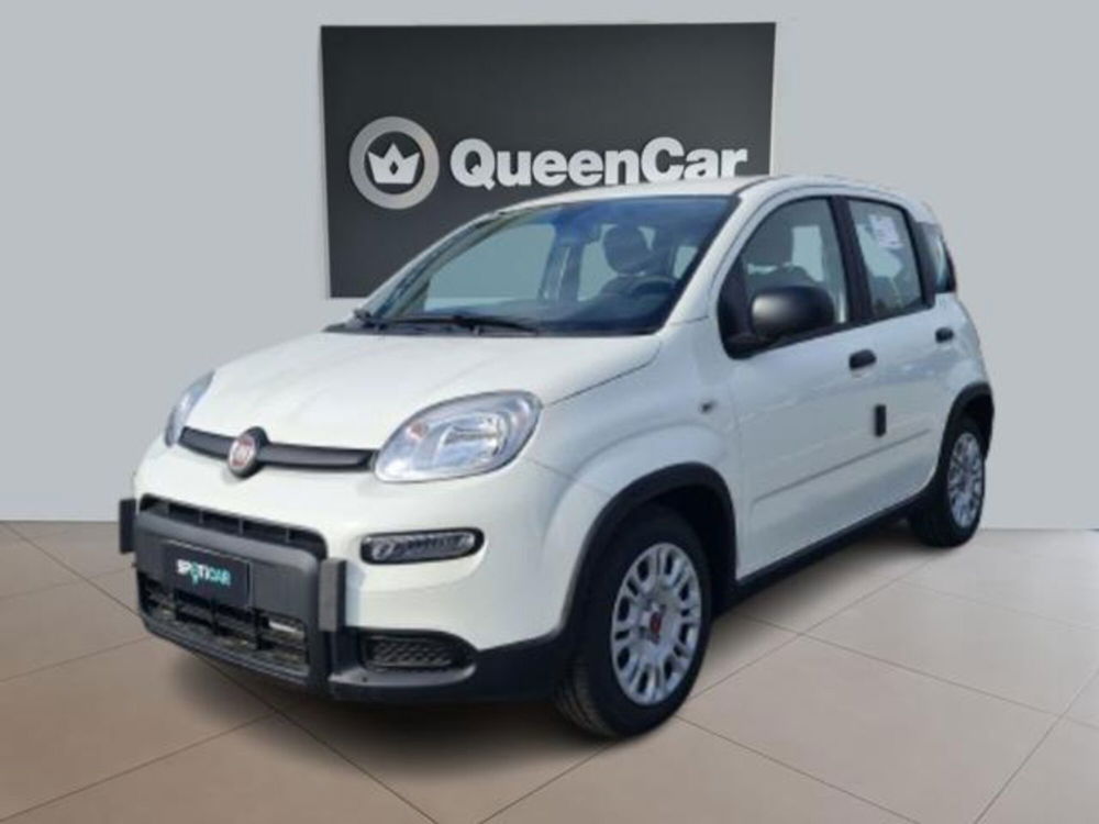 Fiat Panda nuova a Torino (11)