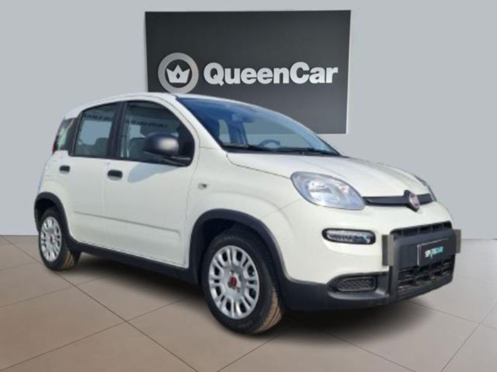 Fiat Panda nuova a Torino (15)