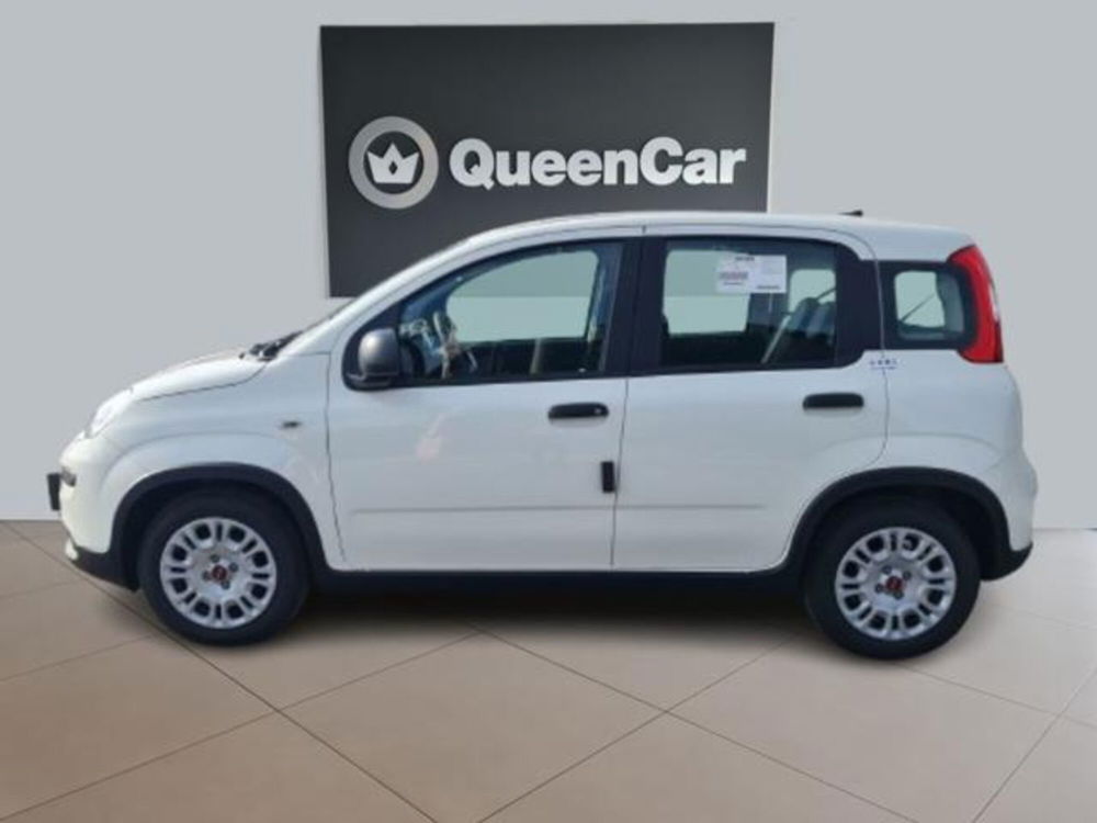 Fiat Panda nuova a Torino (16)