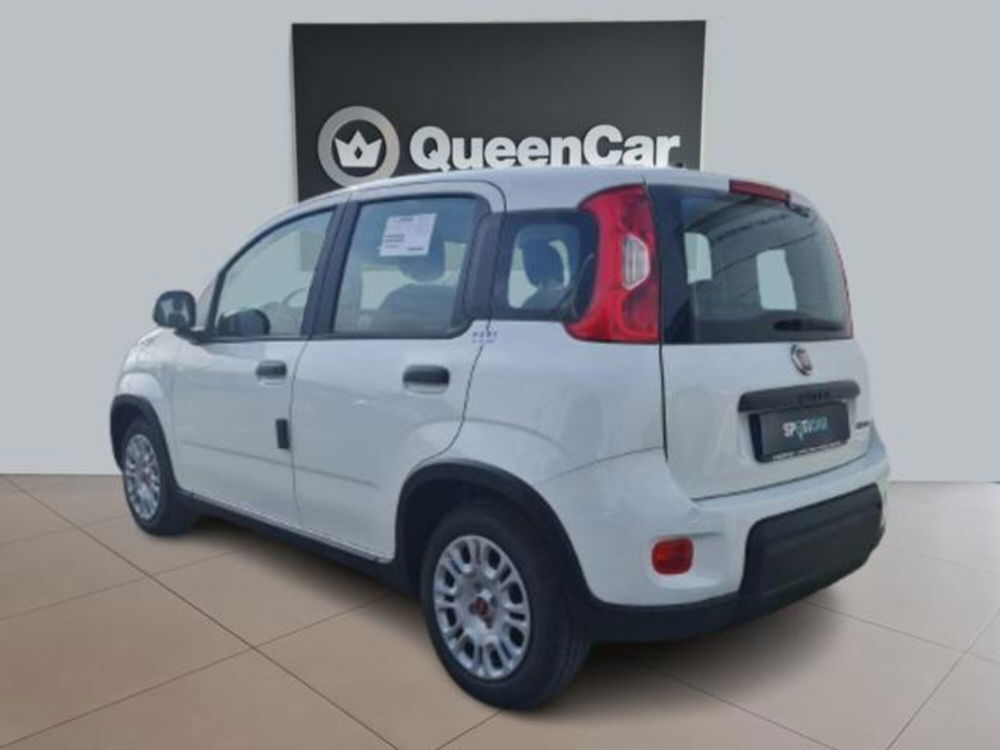 Fiat Panda nuova a Torino (18)