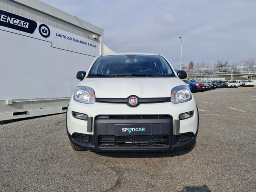 Fiat Panda nuova a Torino (2)