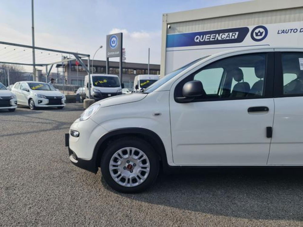 Fiat Panda 1.0 FireFly S&S Hybrid Easy nuova a Pianezza (4)